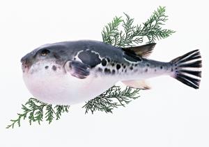 セルフカフェ・スイーツ体験を満喫！かめ福オンプレイスの魅力と詳細ガイド