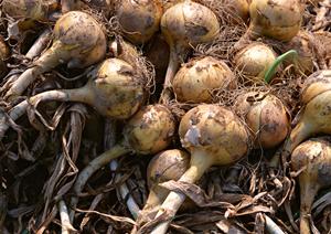 ホストに話を聞いてもらう方法もある