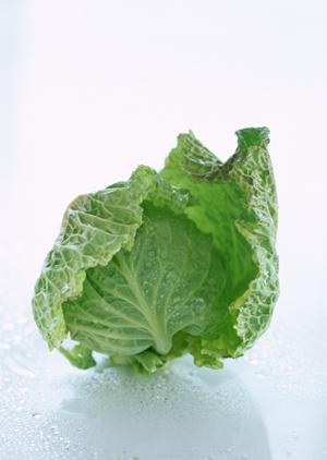 越谷ミート酒場 ビンゴ：熟成肉と多彩な肉料理が楽しめる南越谷の人気店