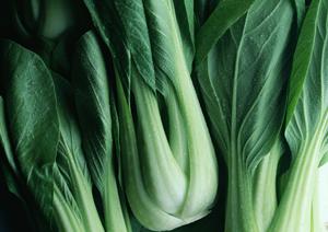 おいしい餃子を取り寄せすることができる