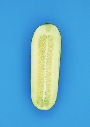 「特別な日にぴったり！高品質しゃぶしゃぶギフトの選び方とおすすめ商品」