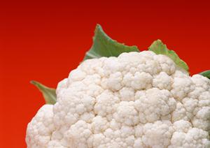 スシロー南池袋店でアルバイト募集中